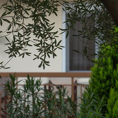 Guesthouse Adonis Káto Loutrákion エクステリア 写真