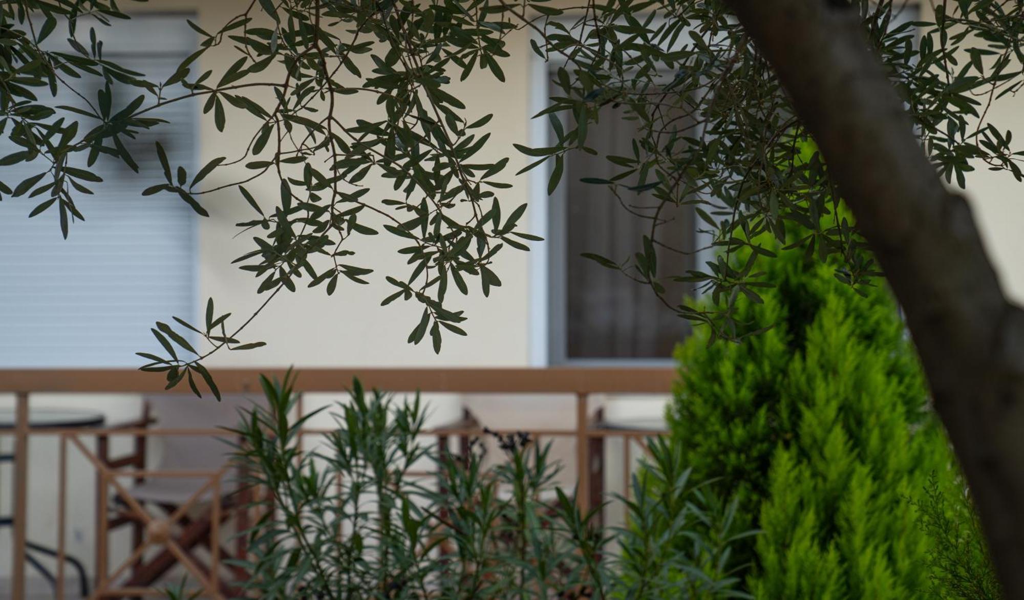 Guesthouse Adonis Káto Loutrákion エクステリア 写真