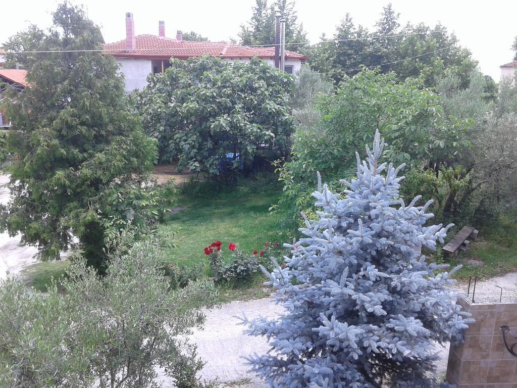 Guesthouse Adonis Káto Loutrákion エクステリア 写真