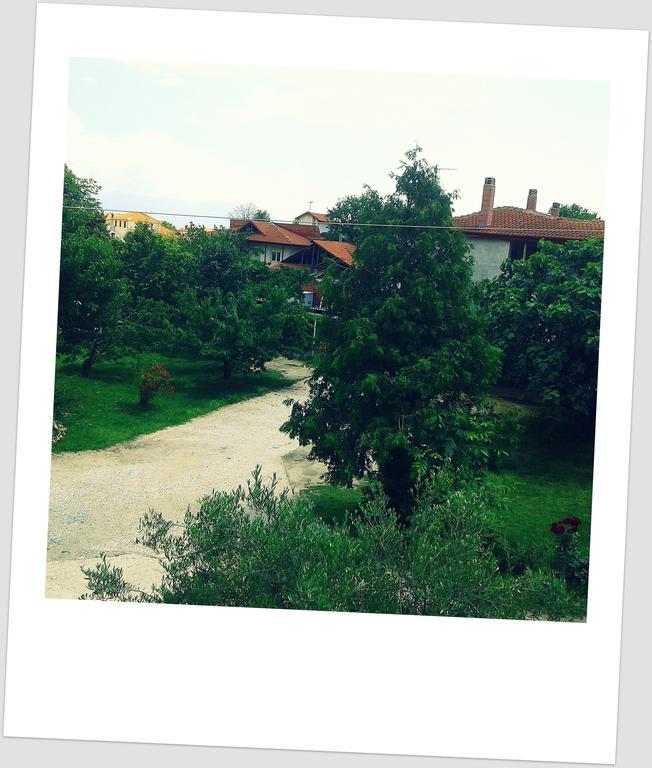 Guesthouse Adonis Káto Loutrákion エクステリア 写真