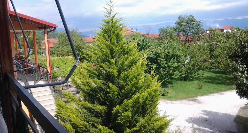 Guesthouse Adonis Káto Loutrákion エクステリア 写真