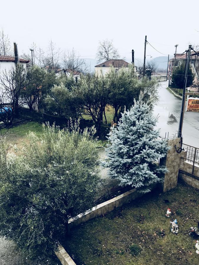 Guesthouse Adonis Káto Loutrákion エクステリア 写真